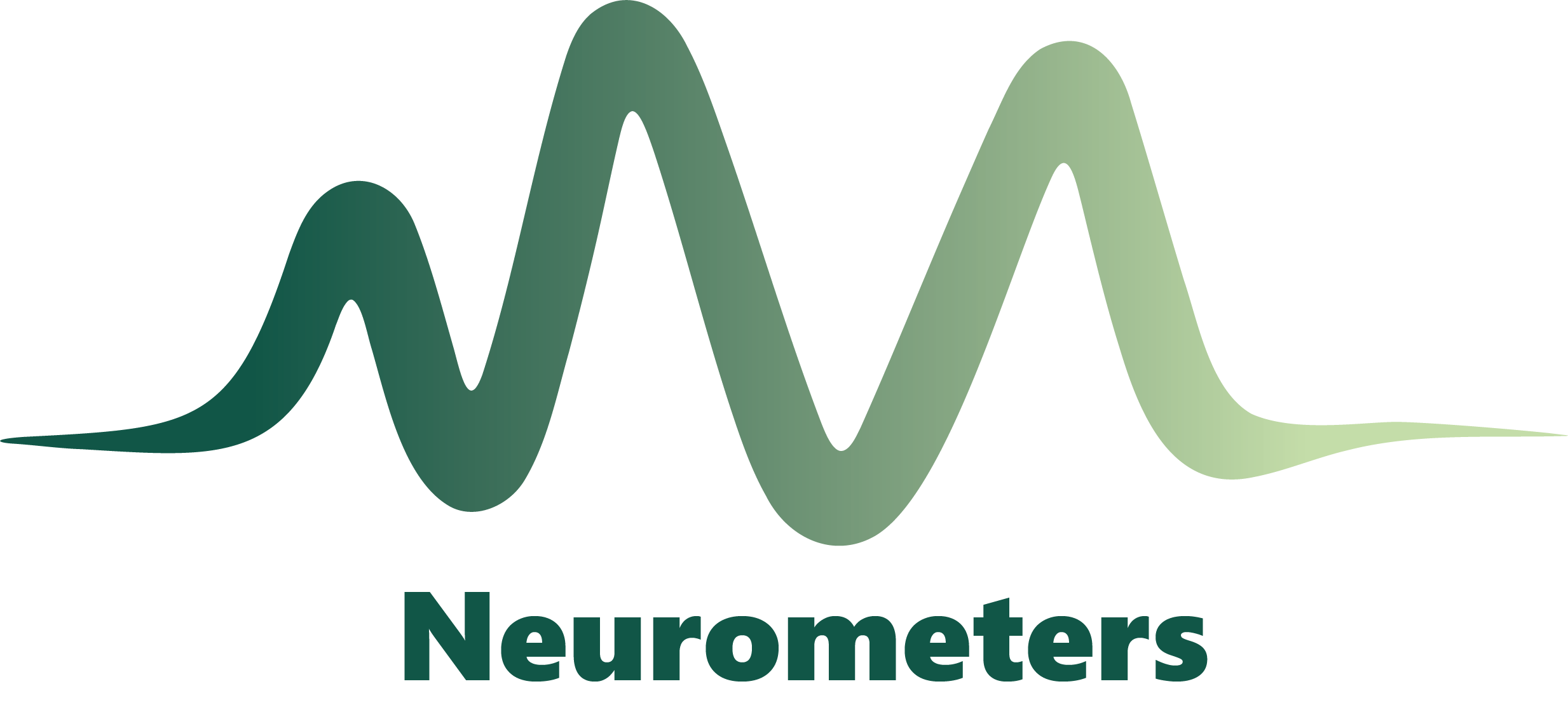 NEUROMETERS
