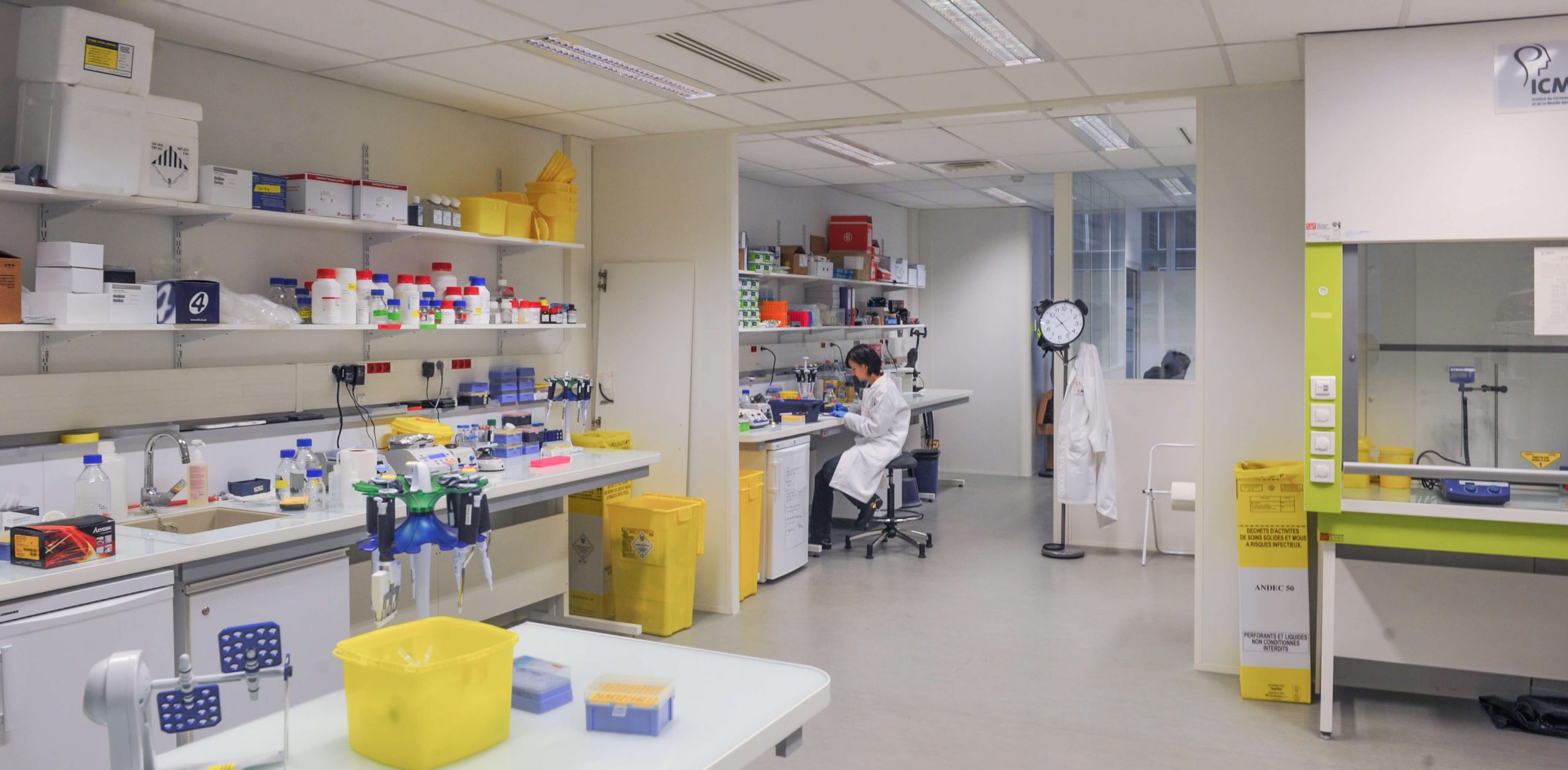 L1-Type Laboratories