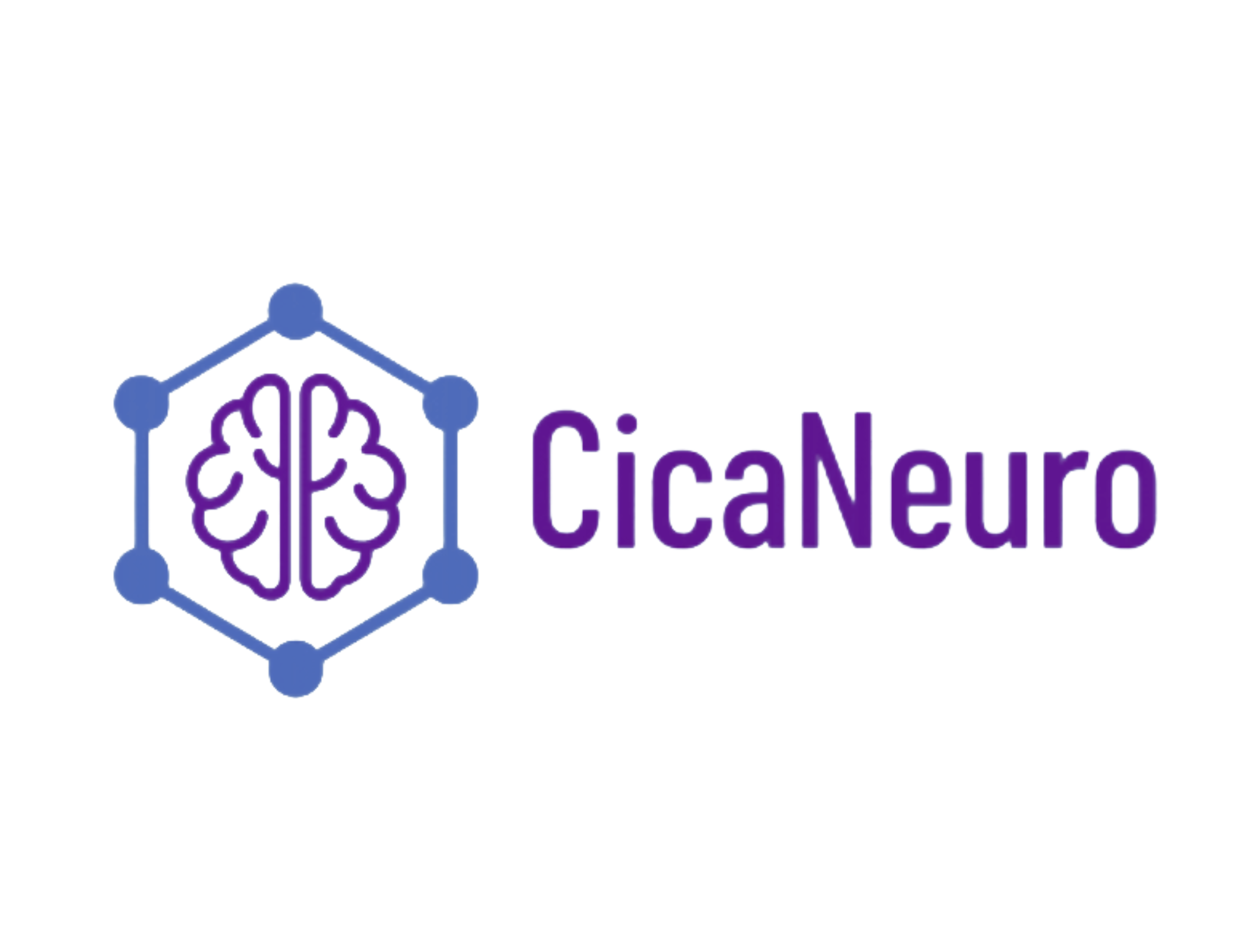 CicaNeuro